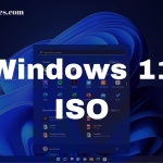 Windows 11 iso file