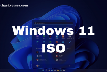 Windows 11 iso file