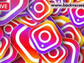 How to make a Live Video on Instagram