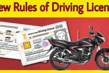 DL Rules